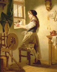 Nourrir les Oiseaux en Hiver